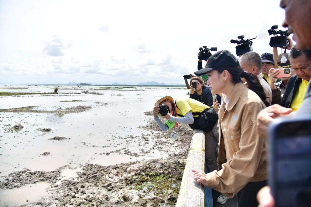 IMG_93489_20250217154336000000