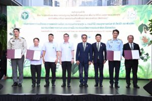 IMG_20250306194519000000