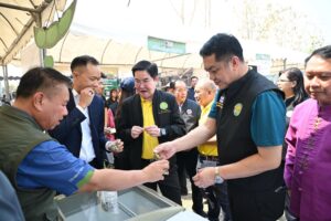 IMG_20250329134233000000