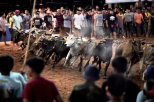 IMG_20250428075420000000