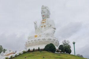 IMG_20250519145829000000