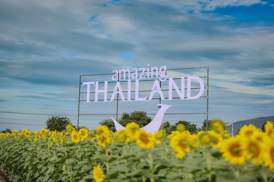 586645641_1273094821521790_3074568074403679024_n