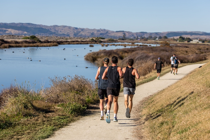 Hawkes Bay Marathon